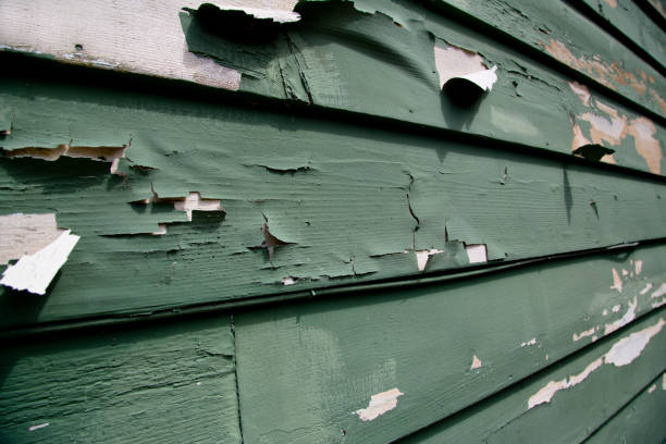 Best Stone Veneer Siding  in Kinsey, AL