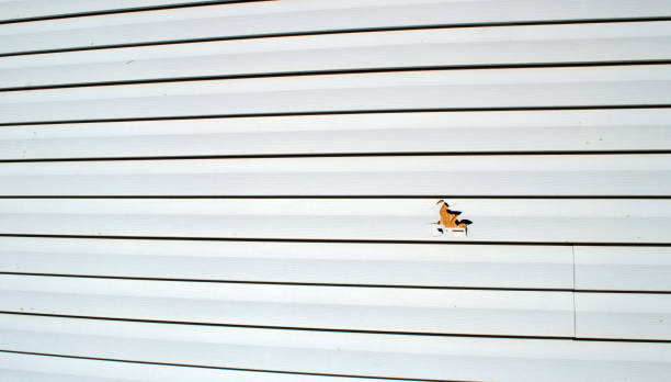 Best Siding Repair  in Kinsey, AL