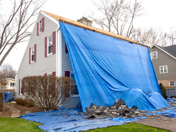 Best Siding Removal and Disposal  in Kinsey, AL