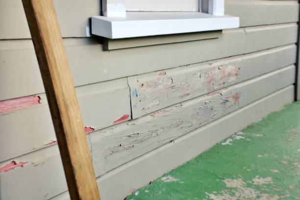 Best Wood Siding Installation  in Kinsey, AL